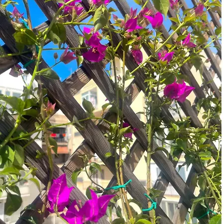 Letizia City Centre Terrace Bari Exterior photo